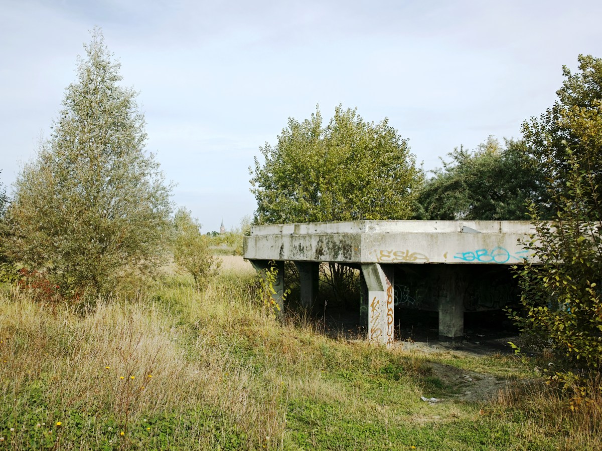 De friche Kuhlmann: 46 hectare herwonnen&nbsp;natuur
